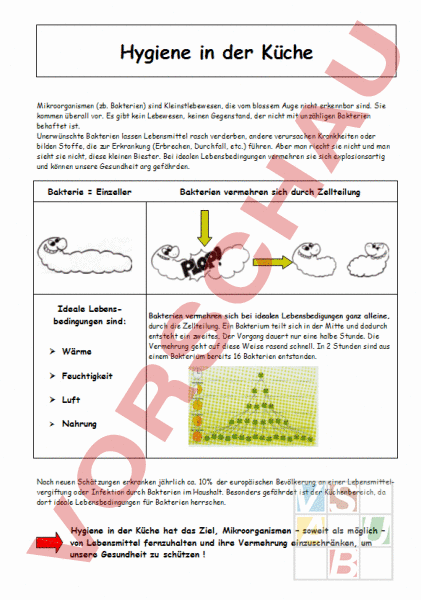 download echinostomes as experimental models for