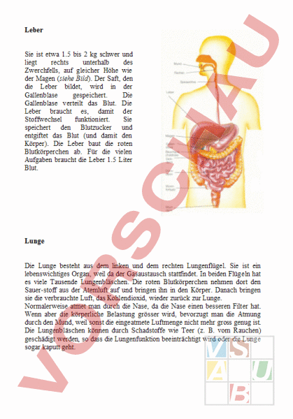 Arbeitsblatt: Organe: Lunge und Leber - Biologie - Anatomie / Physiologie
