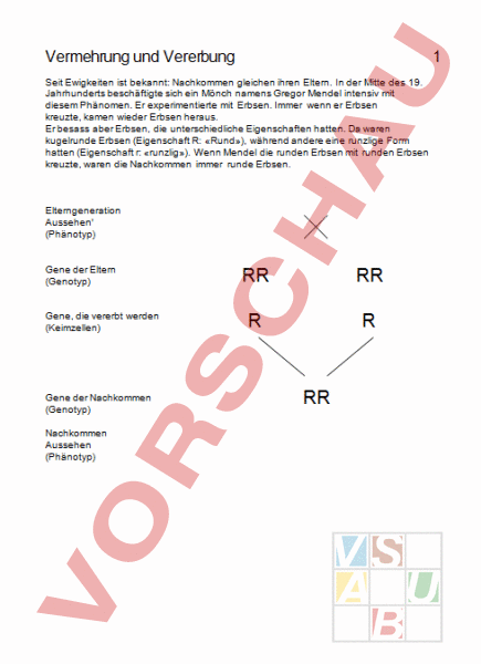 Arbeitsblatt: Mendelsche Gesetze - Biologie - Genetik