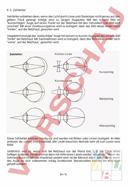 Arbeitsblatt: das Auge 3 - Biologie - Anatomie / Physiologie