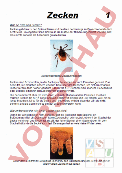 Arbeitsblatt: Die Zecke - Biologie - Tiere