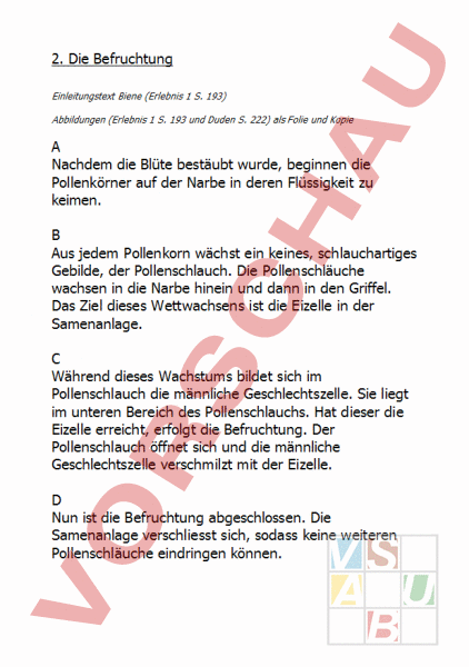 Arbeitsblatt Befruchtung Biologie Pflanzen Botanik
