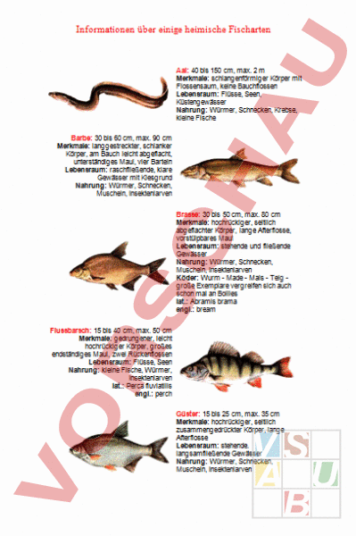 Arbeitsblatt Heimische Fischarten Biologie Tiere