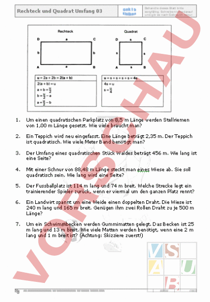 Arbeitsblatt: Rechteck und Quadrat Umfang 03 - Geometrie - Flächen