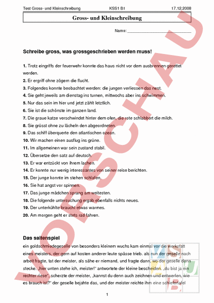 Arbeitsblatt: Test Gross- und Kleinschreibung - Deutsch - Rechtschreibung
