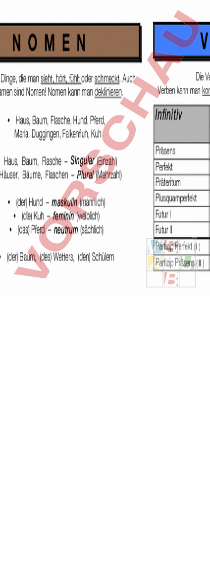 Arbeitsblatt Wortarten Zeiten Deutsch Grammatik