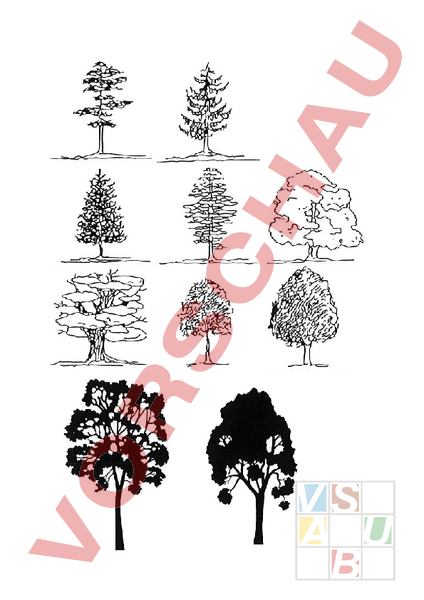  Arbeitsblatt: Bäume skizzieren - Bildnerisches Gestalten - Anderes Thema 