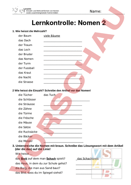 Arbeitsblatt Lernkontrolle Nomen Deutsch Grammatik