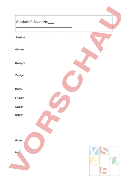 Arbeitsblatt Herbarium Steckbrief Baum Biologie Pflanzen Botanik