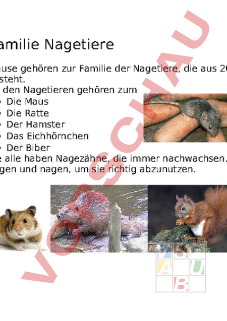 Arbeitsblatt: Merkmale: Nagetiere und Mäusearten - Biologie - Tiere