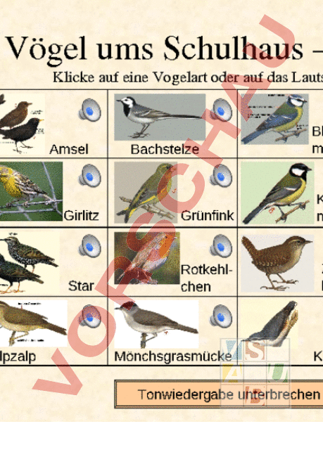 Arbeitsblatt: Vögel - Biologie - Tiere