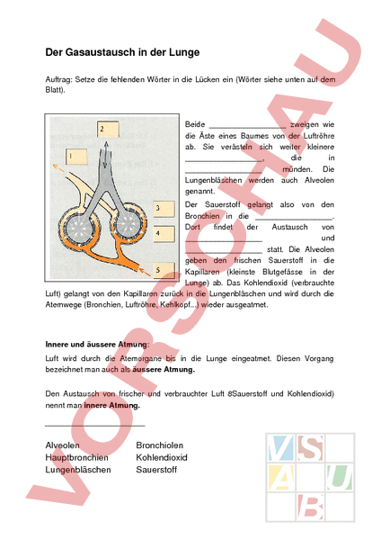 download mechanical identification of composites 1991