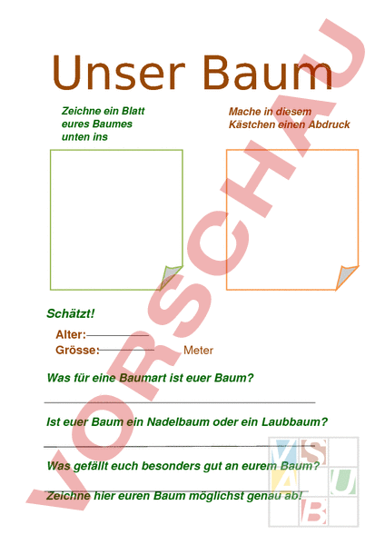 arbeitsblatt-unser-baum-biologie-pflanzen-botanik