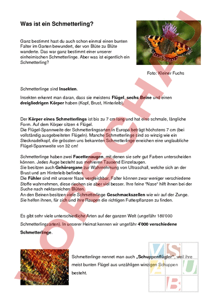 arbeitsblatt-schmetterling-biologie-tiere