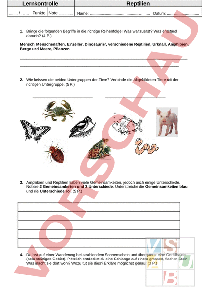 Arbeitsblatt Lernkontrolle Reptilien Biologie Tiere