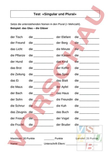 Arbeitsblatt: Test Singular und Plural - Deutsch - Grammatik
