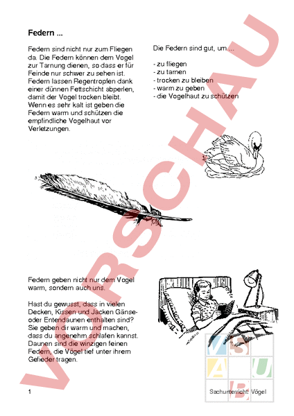 Arbeitsblatt: Vogelfedern - Lebenskunde - Anderes Thema