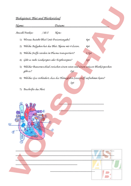 Arbeitsblatt: Blut und Blutkreislauf - Biologie - Anatomie / Physiologie