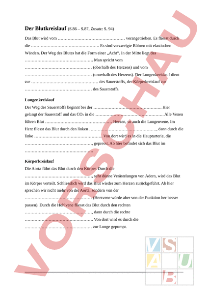 Arbeitsblatt Blut Und Blutkreislauf Biologie Anatomie Physiologie