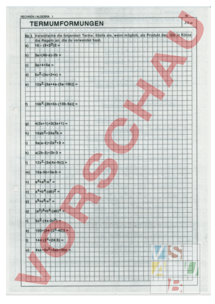 Arbeitsblatt: Termumformungen - Mathematik - Anderes Thema