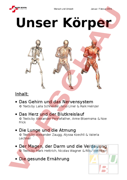 Arbeitsblatt: Booklet Unser Körper - Biologie - Anatomie / Physiologie