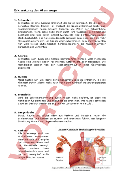 Arbeitsblatt: Erkrankung Der Atemwege - Biologie - Anatomie / Physiologie