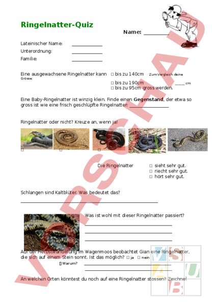 Arbeitsblatt: Quiz Ringelnatter - Biologie - Tiere