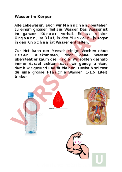 Arbeitsblatt: Wasser im Körper - Biologie - Anderes Thema