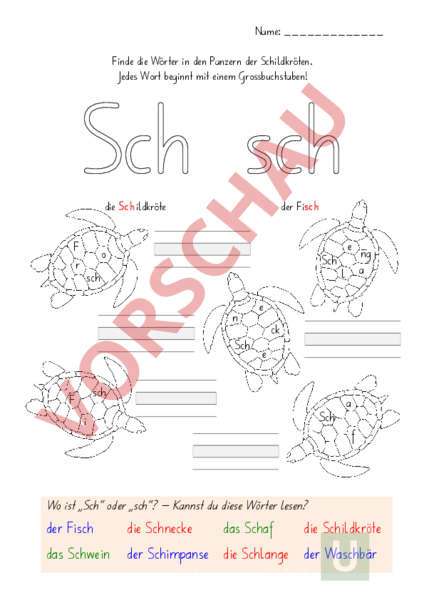 Arbeitsblatt Wörter MIT Ng - Brazil Network