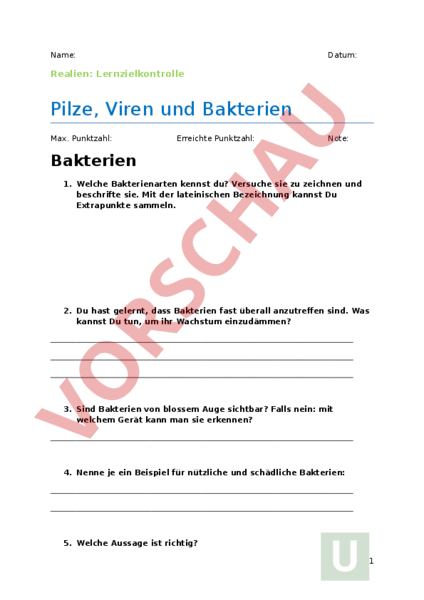 Bakterien Und Viren Arbeitsblatt Lösungen Arbeitsblatt: LZK Viren, Pilze und Bakterien - Biologie - Anderes Thema