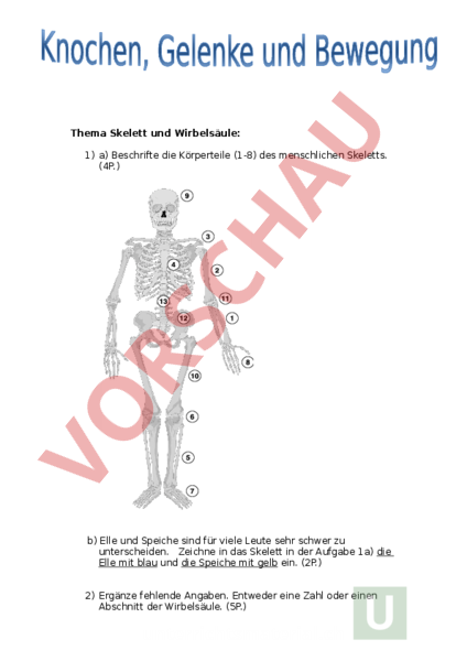 Biologie Klasse 5 Knochen Und Gelenke Arbeitsblätter Arbeitsblatt: Lernkontrolle Körper und Gelenke - Biologie - Anatomie