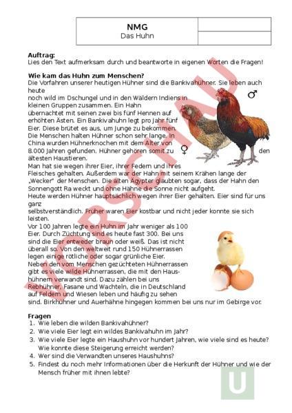 biologie tiere das huhn Steckbrief Huhn Arbeitsblatt
Arbeitsblatt Das Huhn Biologie Tiere