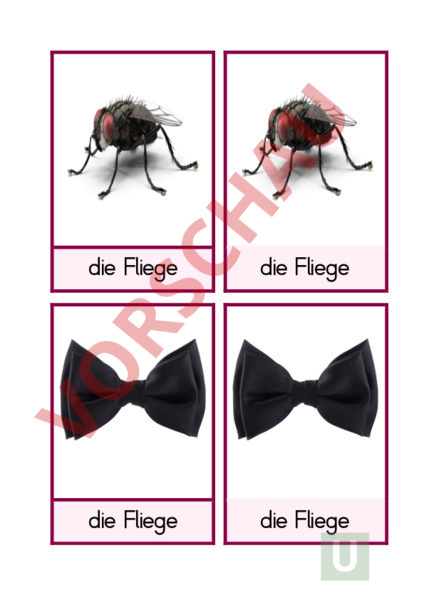 Arbeitsblatt Homonyme Deutsch Wortschatz