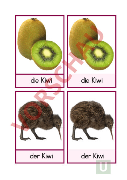 Arbeitsblatt Homonyme Deutsch Wortschatz