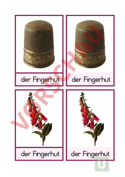 Arbeitsblatt Homonyme Deutsch Wortschatz
