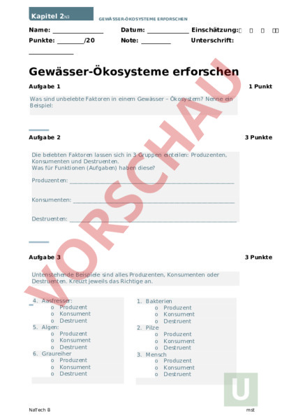 Arbeitsblatt Natech 8 Okosystem Test Biologie Oekologie