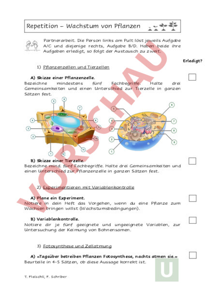 Tierzelle Pflanzenzelle Vergleich Arbeitsblatt Pdf Arbeitsblatt Pflanzen Und Tierzellen