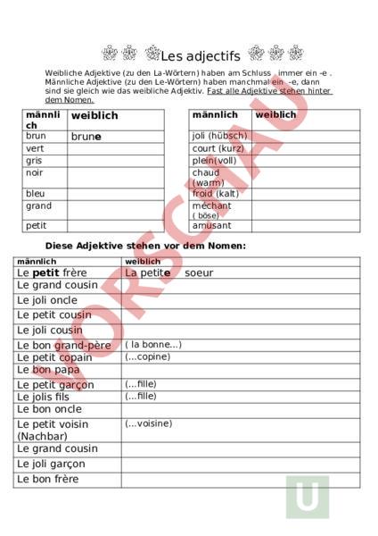 Welche Adjektive Stehen Im Französischen Vor Dem Nomen Arbeitsblatt: Les adjectifs - Französisch - Grammatik